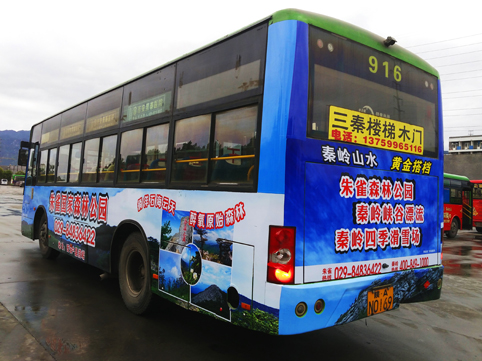 5404595.jpg