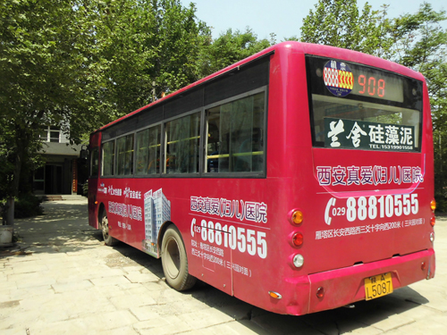 5406473.jpg
