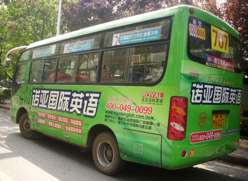 5406773.jpg