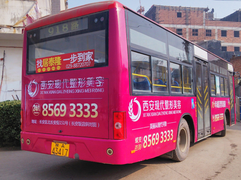 5404530.jpg