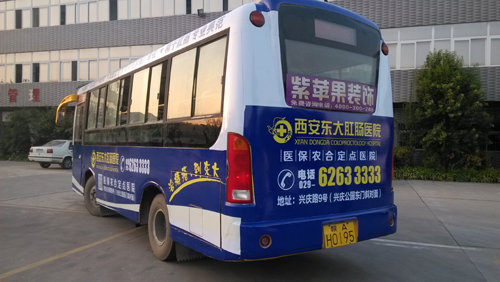 5406192.jpg